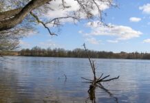 Спокойствие и тишина: Страшинское озеро как место отдыха