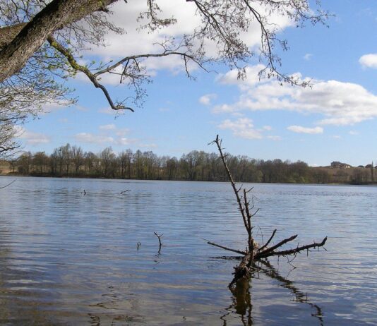 Спокойствие и тишина: Страшинское озеро как место отдыха