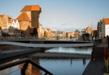 Проблема инфраструктуры и мор рыбы: угроза экологической катастрофы в Гданьске