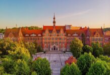 Инновации и проекты по озеленению в Гданьске