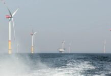 Альтернативная энергетика: значение ветровой электростанции Baltic power для Поморья