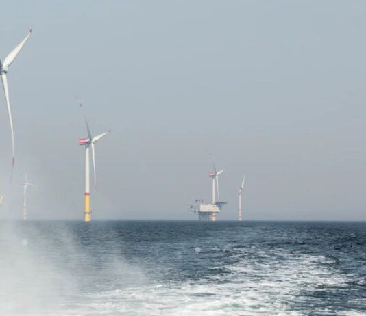 Альтернативная энергетика: значение ветровой электростанции Baltic power для Поморья