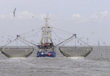 Рыболовство в Поморье и кризис промышленности на Балтике