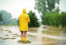 Система предотвращения наводнений в Гданьске и Сопоте