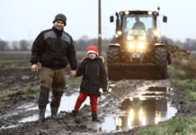 История гданьских фермеров