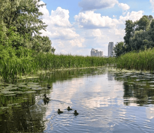 Как в Гданьске хранят окружающую среду