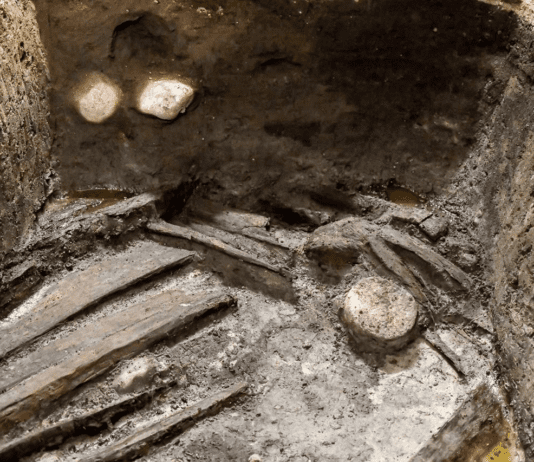 Historia zaginionej osady w Gdańsku