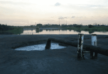 История ликвидированного озера в Гданьске