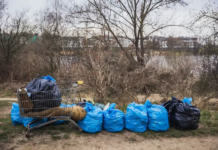 Как Гданьск пытается жить без пластика
