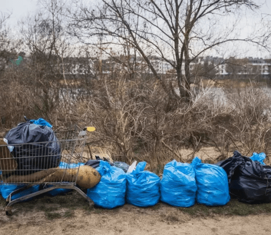 Как Гданьск пытается жить без пластика
