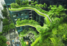 Экотренды Труймяста