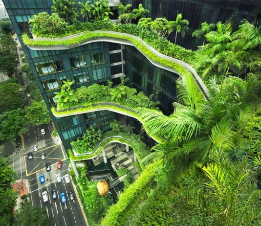 Экотренды Труймяста