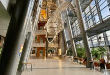 Музей естествознания в Гданьске