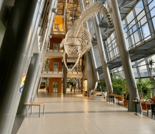 Музей природознавства у Гданську