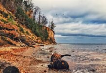 Жемчужина у моря: Орловский клиф и пирс в Гдыне