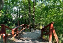 Место с богатой историей и живописными видами в Гданьске: холм Пахолек