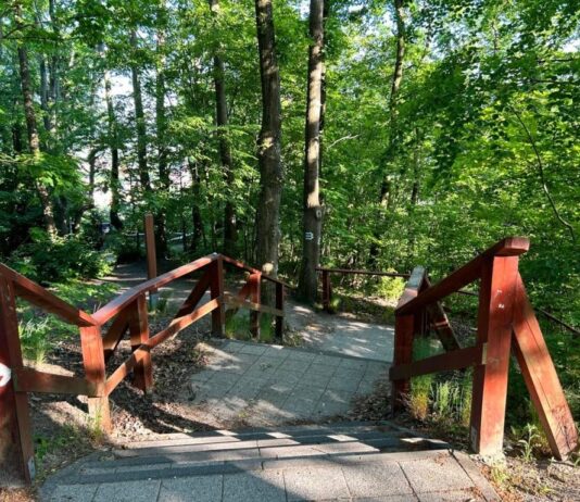 Місце з багатою історією та мальовничими видами у Гданську: пагорб Пахолек