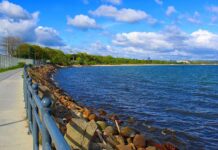 Уникальный уголок природы в Гданьске: заповедник «Птичий рай»