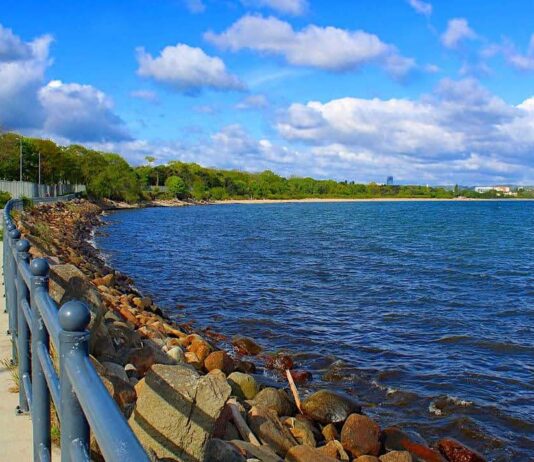 Уникальный уголок природы в Гданьске: заповедник «Птичий рай»