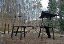 Сказочный лес: история ботанического сада в Гдыне