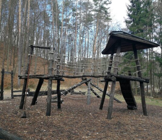 Сказочный лес: история ботанического сада в Гдыне