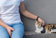 Gdański Animals: как неравнодушные горожане спасают бездомных животных