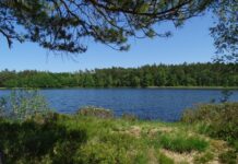 Осовське озеро — водойма, що вражає первозданною красою