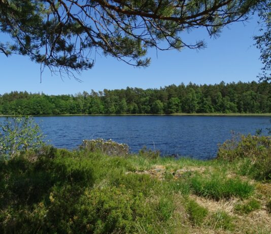 Осовское озеро — водоем, поражающий первозданной красотой