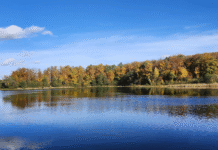 Отоминьское озеро: сокровище Поморья, требующее бережного отношения