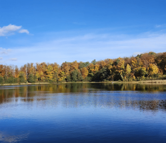 Отоминьское озеро: сокровище Поморья, требующее бережного отношения