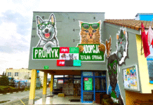 Приют «Промык» в Гданьске: место, где меняют к лучшему жизнь бездомных животных