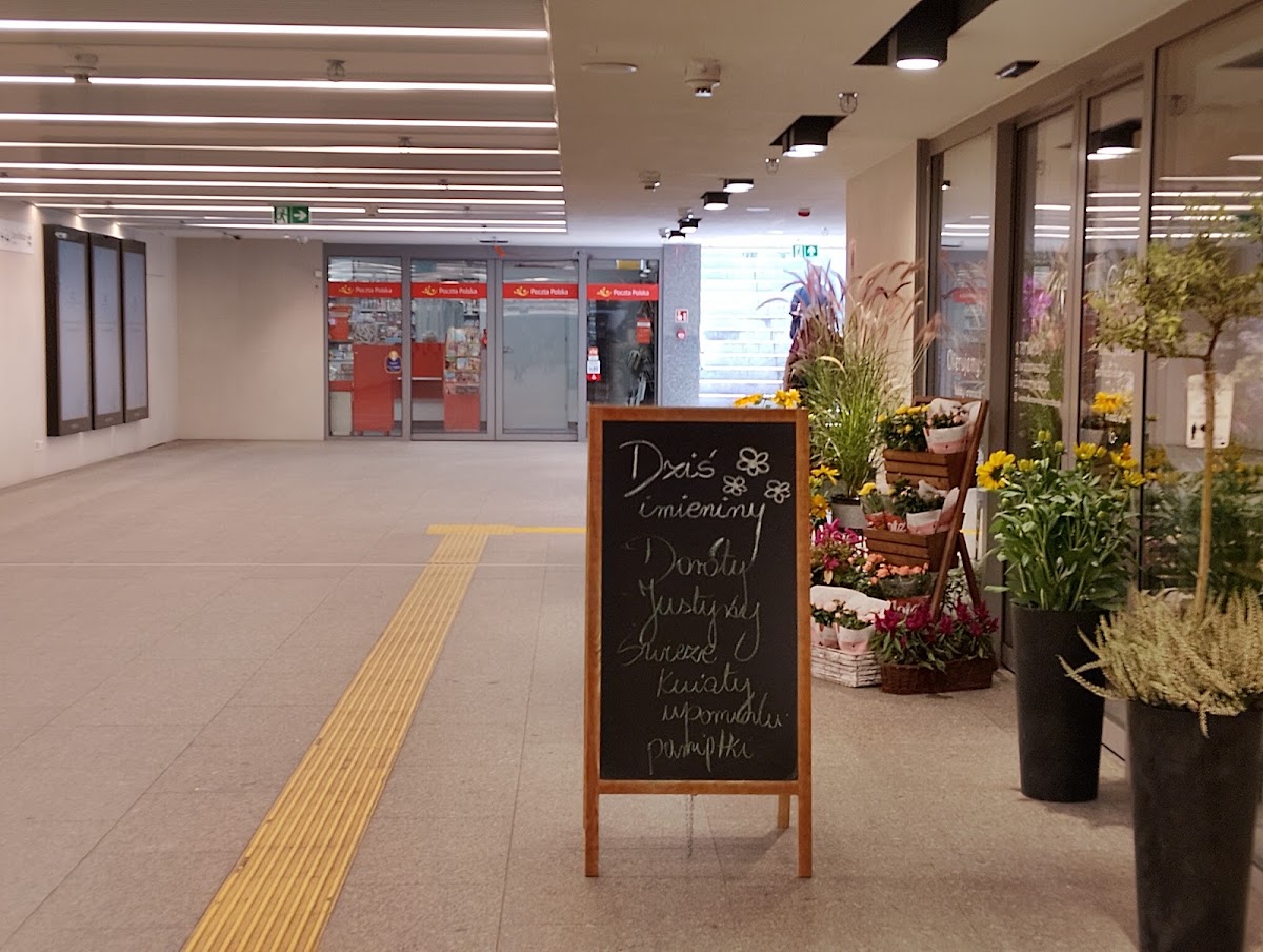 Kwiaciarnia Cattleya — Florist