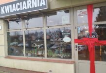 Kwiaciarnia FloraRoom Mikado