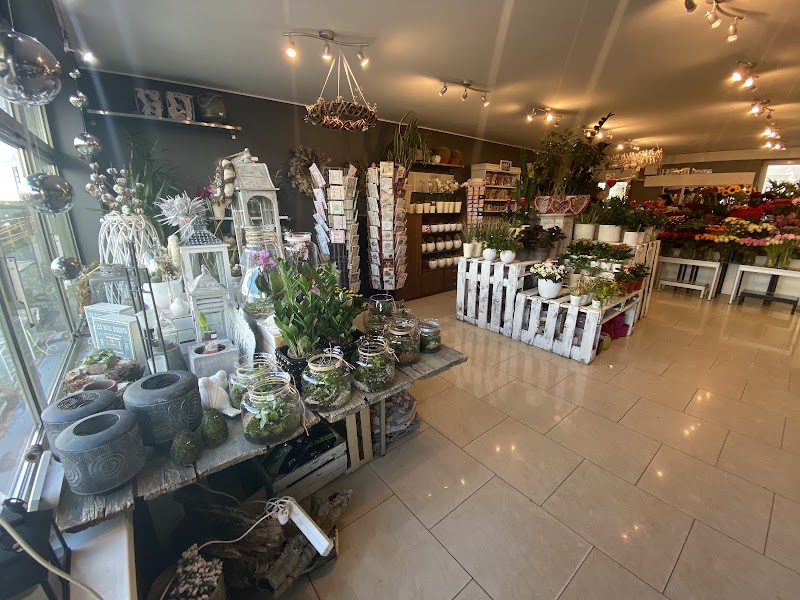Kwiaciarnia FloraRoom Mikado