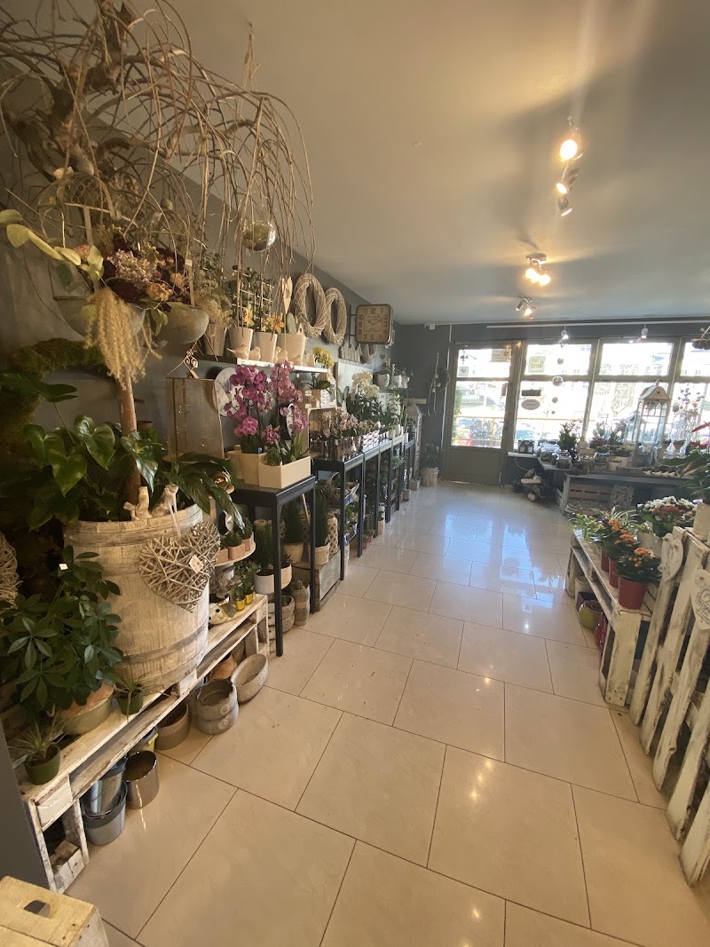 Kwiaciarnia FloraRoom Mikado