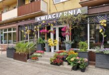 Kwiaciarnia White8 & Flowers Place (prawdopodobnie zamknięte)