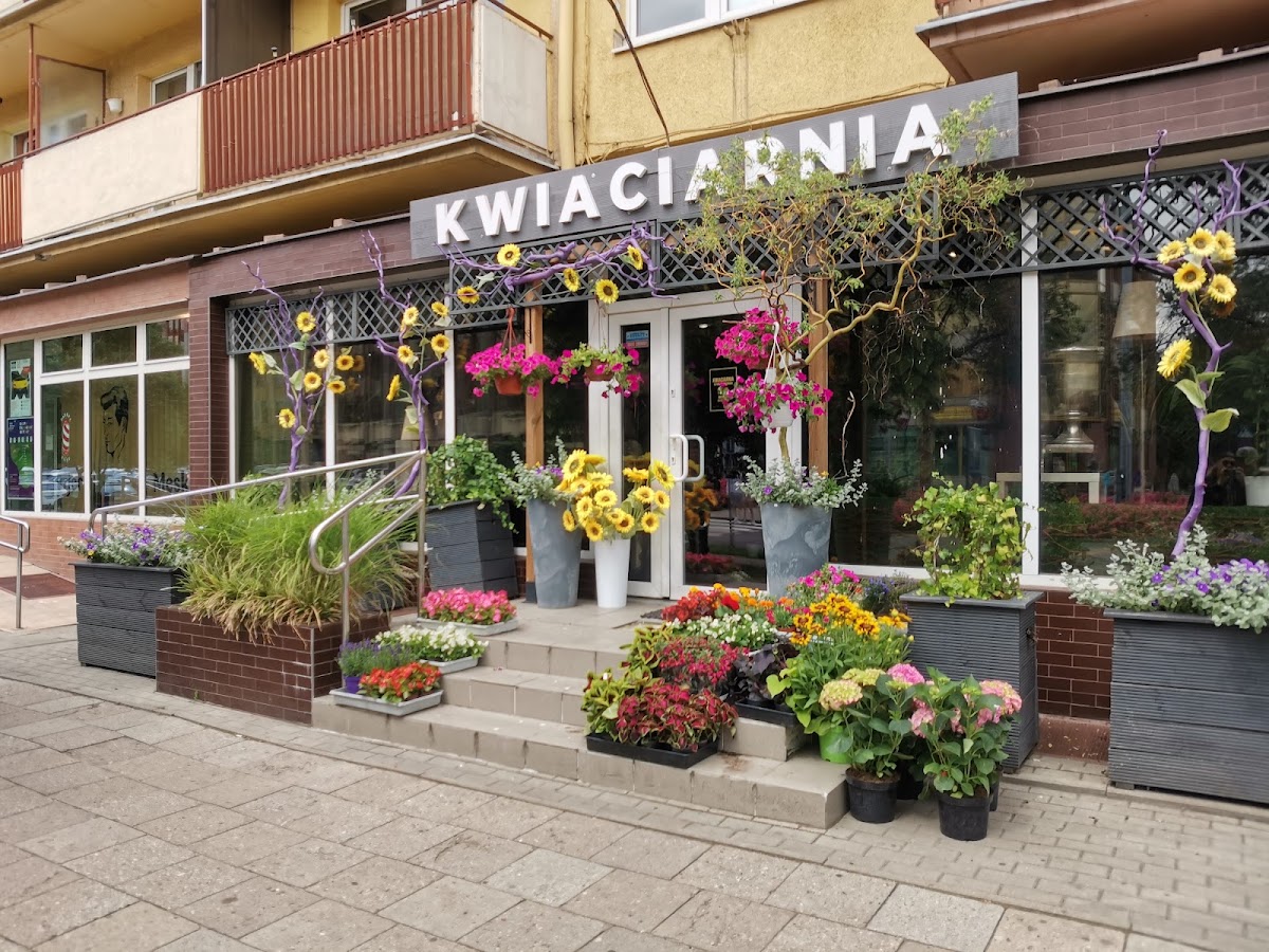 Kwiaciarnia White8 & Flowers Place — Florist