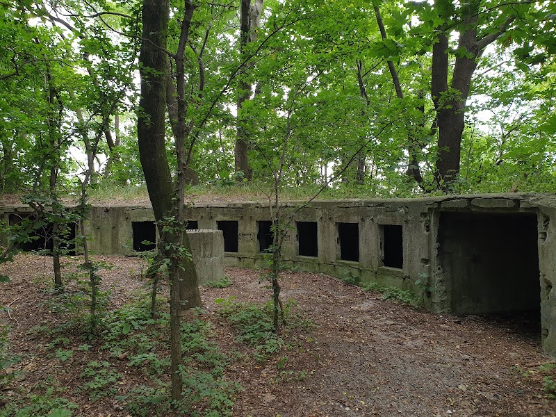 Park Brzeźnieński im. Jana Jerzego Haffnera