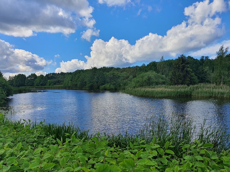 Park im. Ronalda Reagana