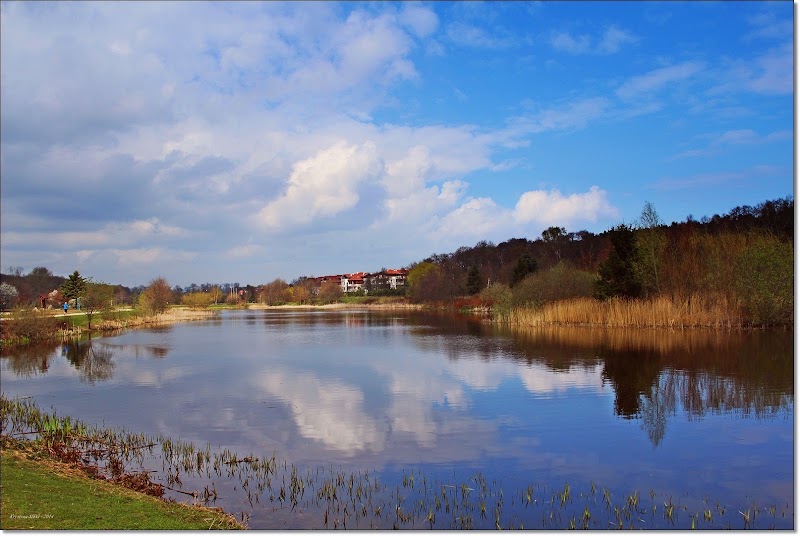 Park im. Ronalda Reagana