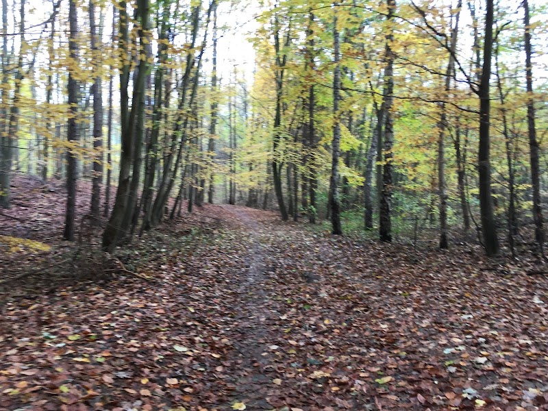 Park Jaśkowej Doliny