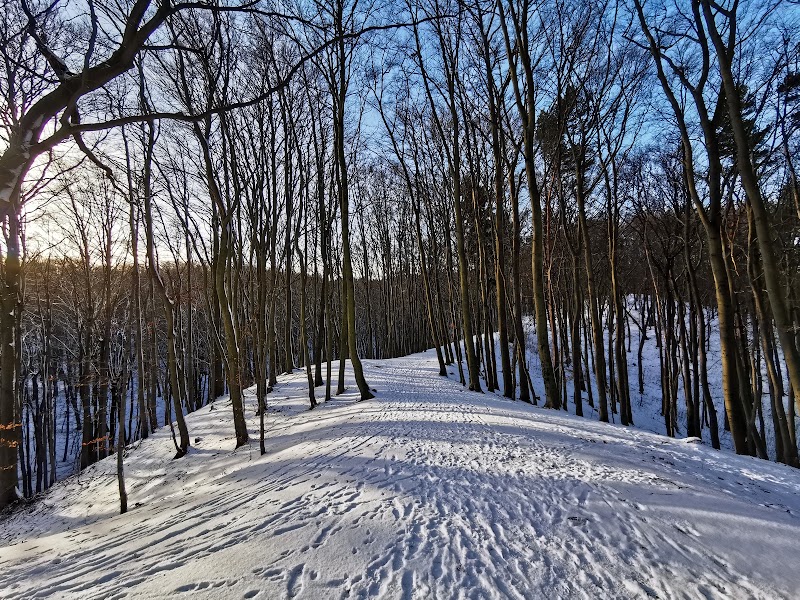 Park Jaśkowej Doliny