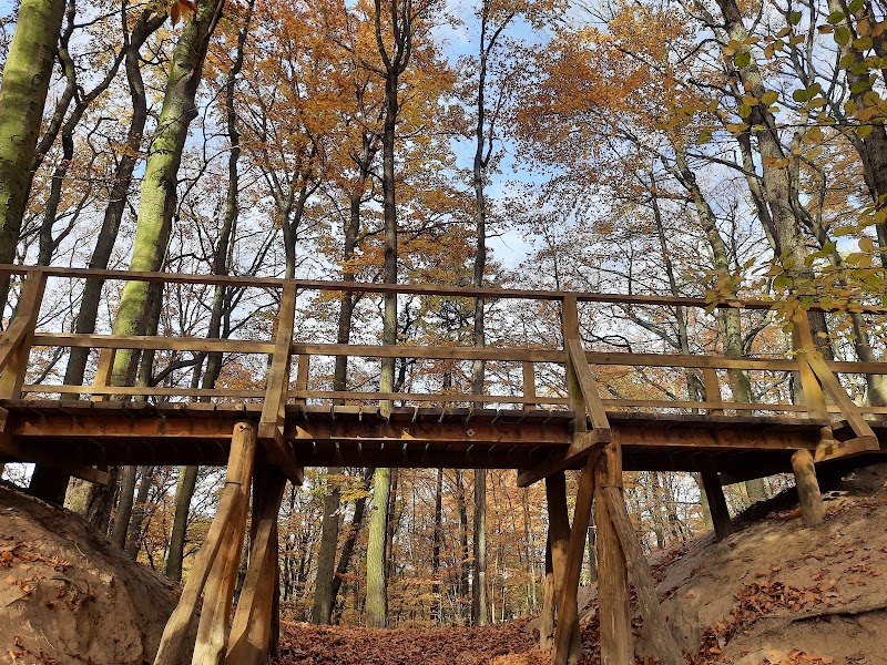 Park Jaśkowej Doliny