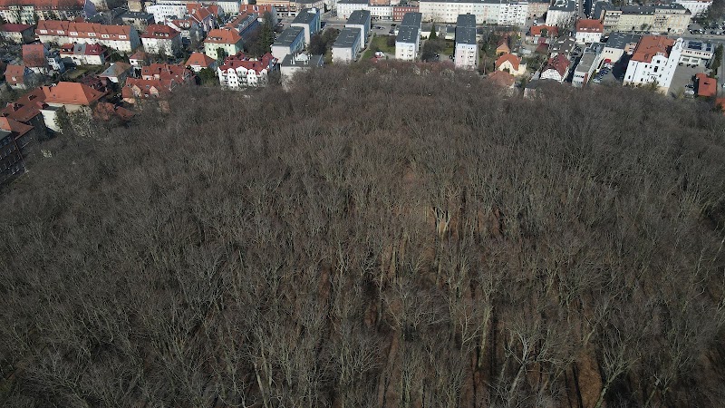 Park Jaśkowej Doliny