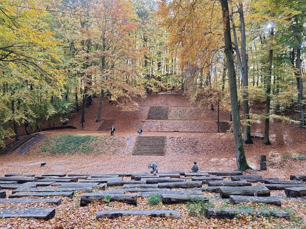 Парк Яськовой Долины — Park