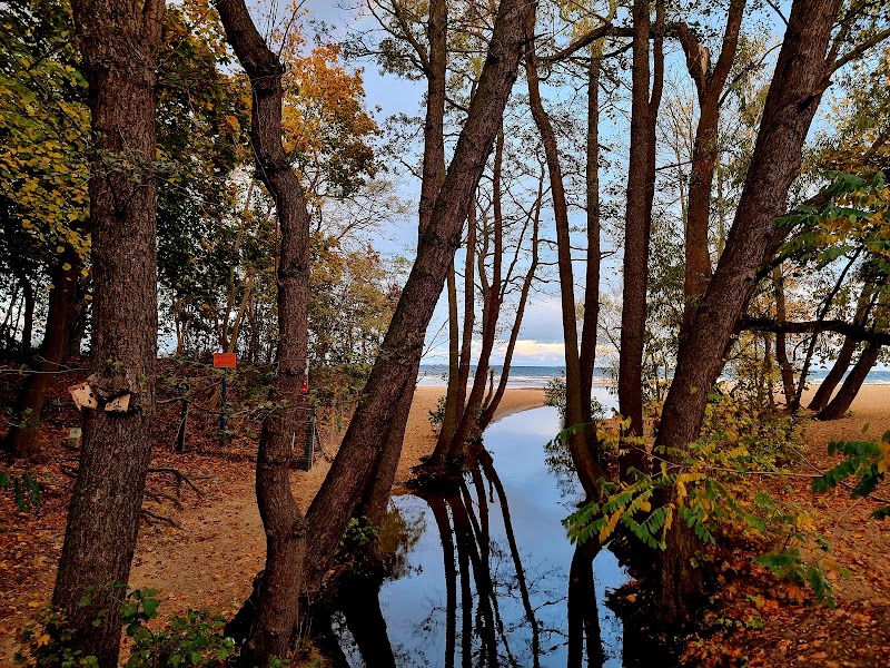 Park Jelitkowski