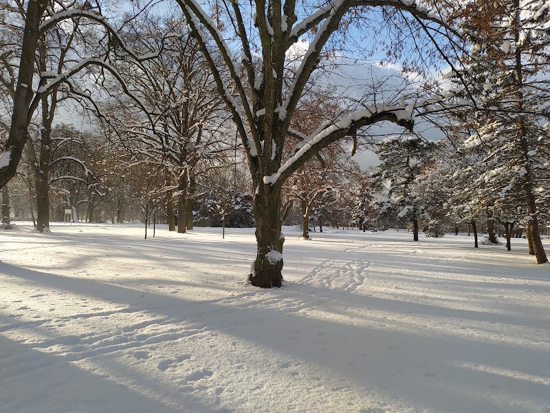 Park Jelitkowski
