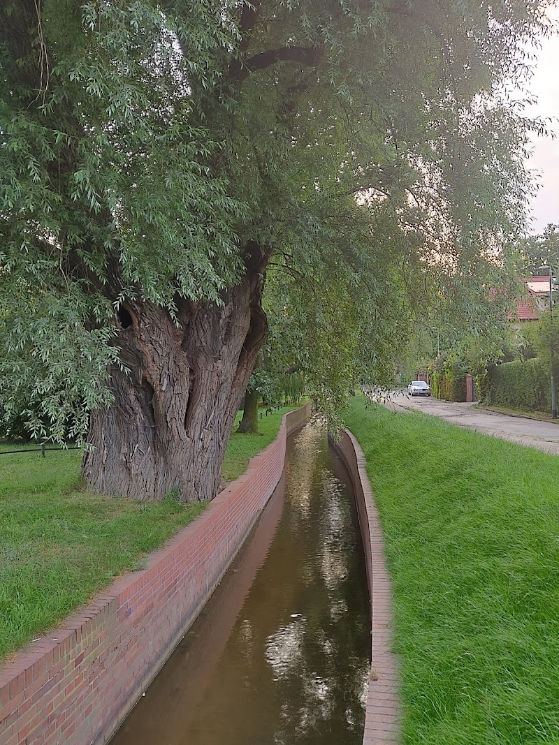 Park nad Strzyżą
