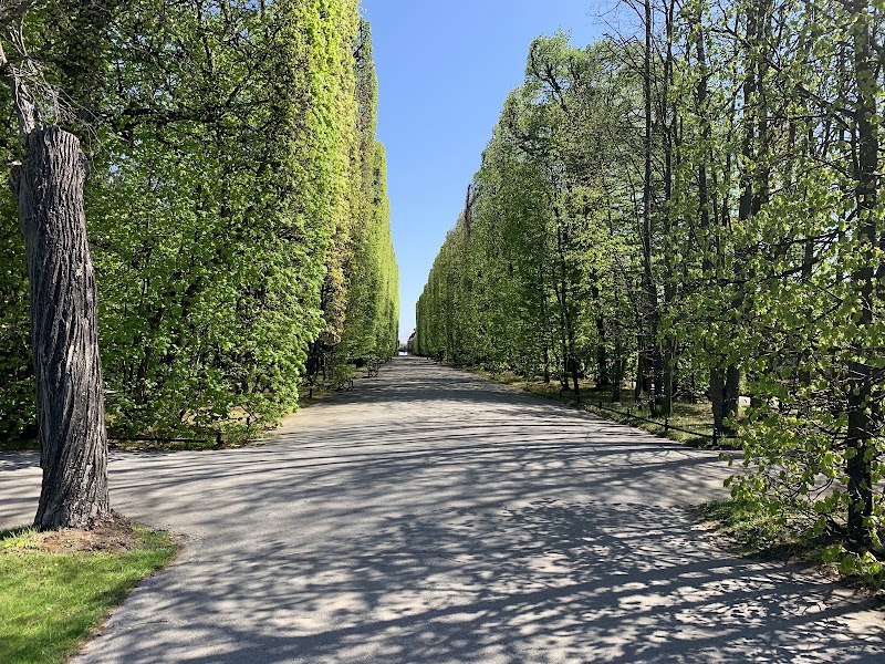Park Oliwski im. Adama Mickiewicza