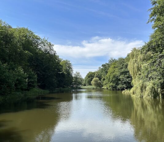 Park Oruński im. Emilii Hoene